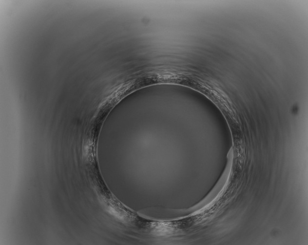 X0000095960419200801181450