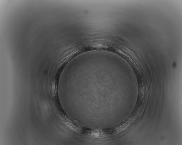 X0000095960420200801181450