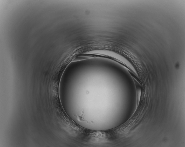 X0000095960421200801181450