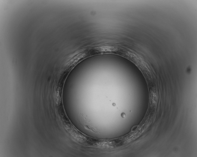 X0000095960422200801181450