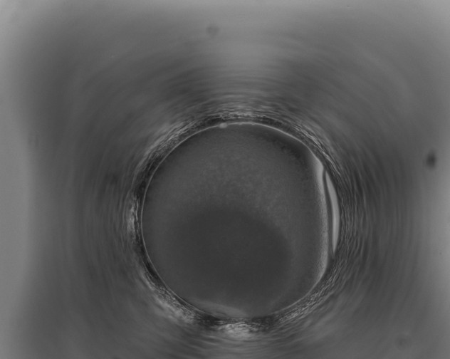 X0000095960423200801181450