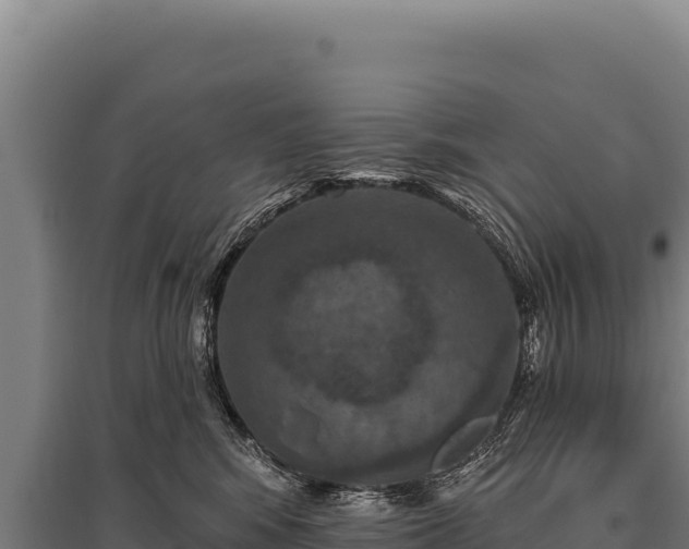 X0000095960424200801181450