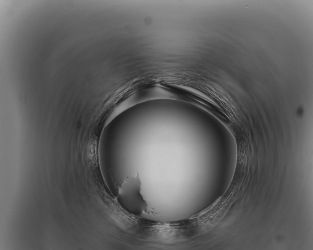 X0000095960425200801181450