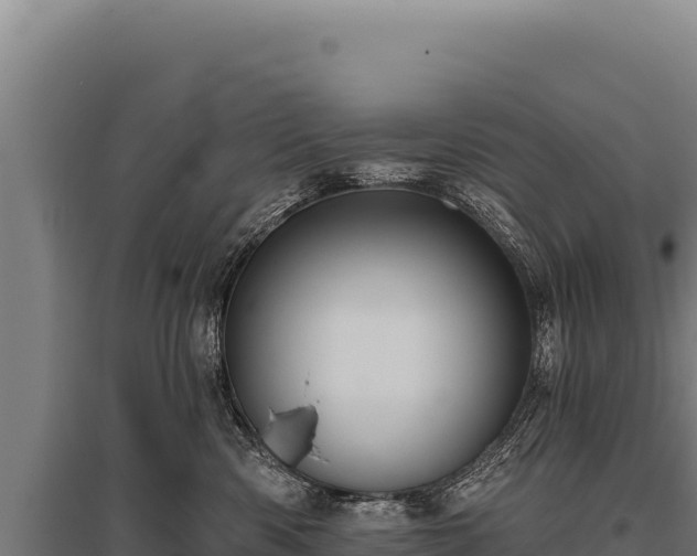 X0000095960426200801181450