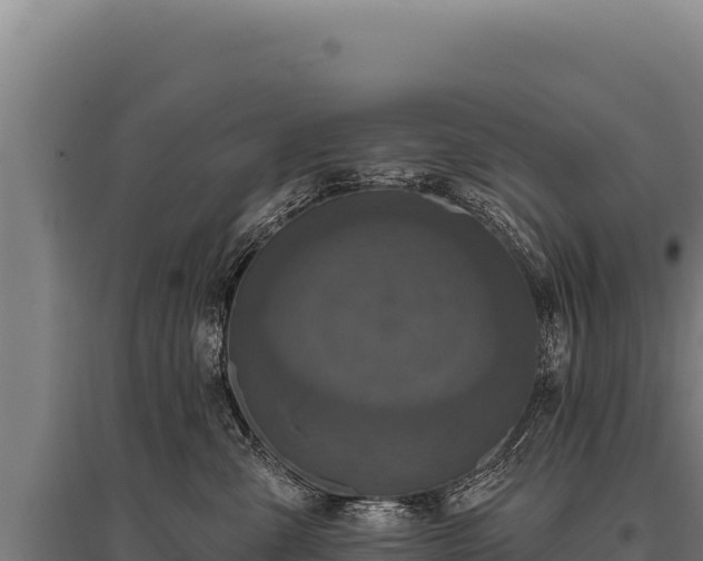 X0000095960427200801181450