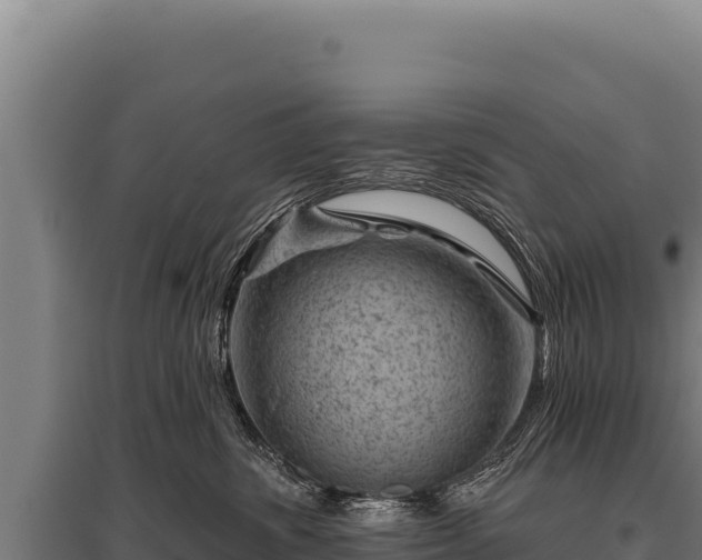 X0000095960428200801181450