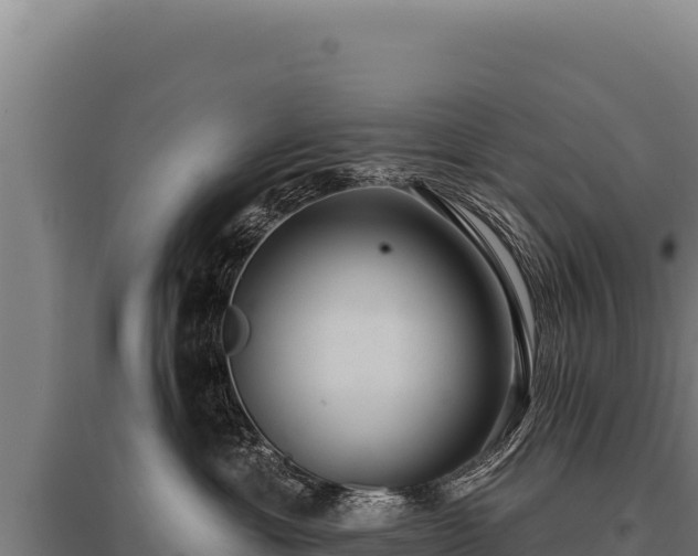 X0000095960429200801181450