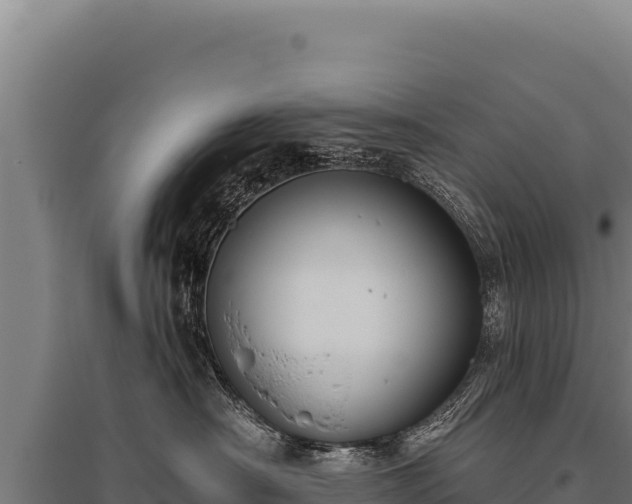 X0000095960430200801181450