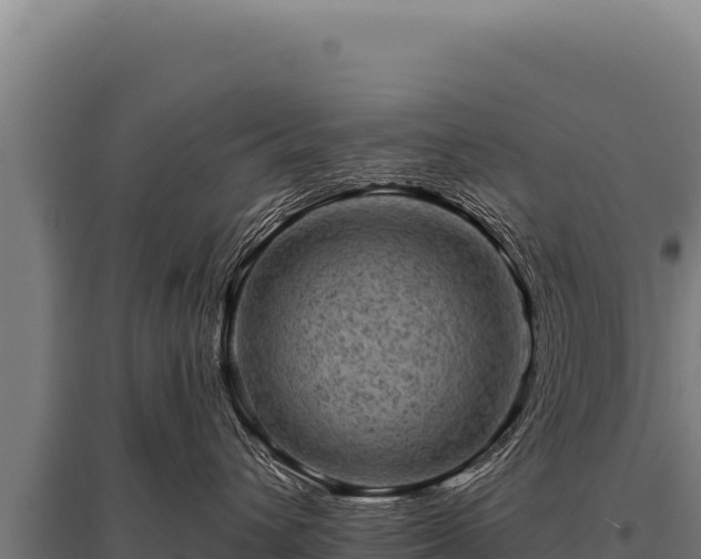 X0000095960432200801181449