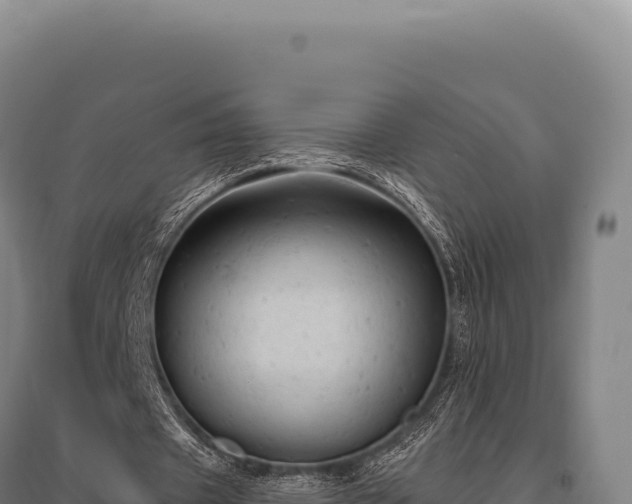 X0000095960433200801181449