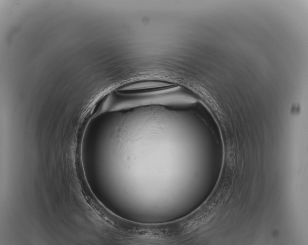 X0000095960434200801181449