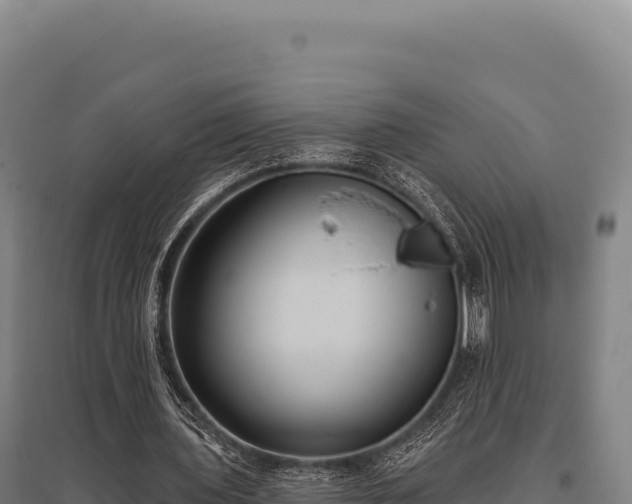 X0000095960435200801181449