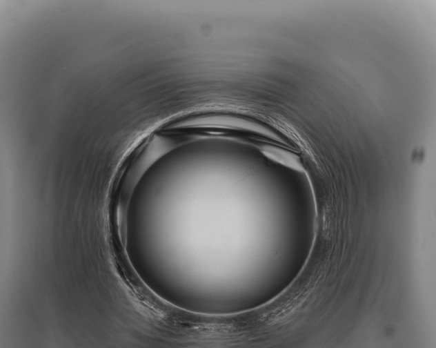 X0000095960436200801181449