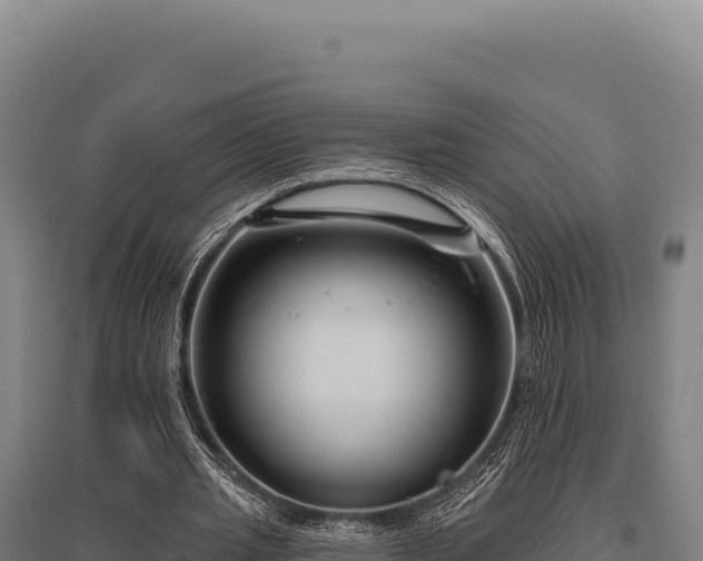 X0000095960437200801181449