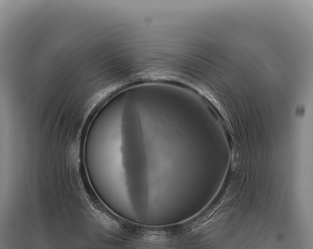 X0000095960438200801181449