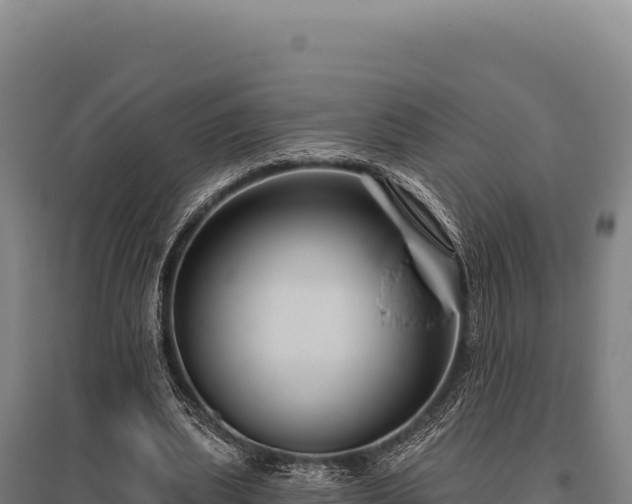 X0000095960439200801181449