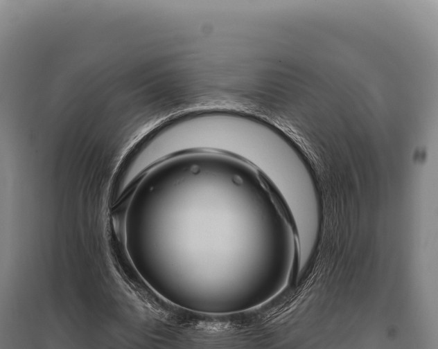 X0000095960440200801181449