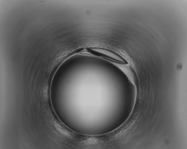 X0000095960441200801181449