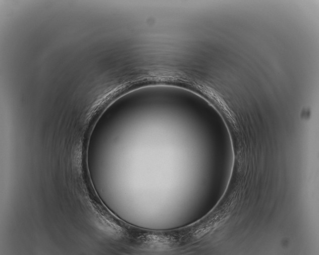 X0000095960442200801181449