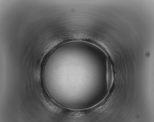 X0000095960443200801181449