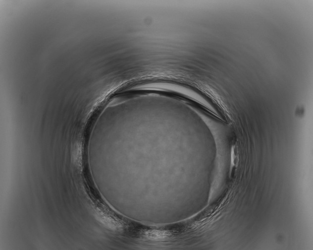 X0000095960444200801181449