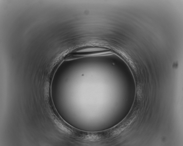 X0000095960445200801181449