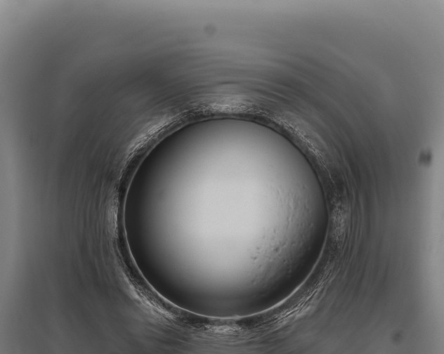 X0000095960446200801181449