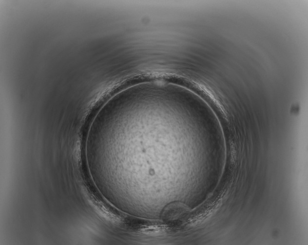 X0000095960447200801181449