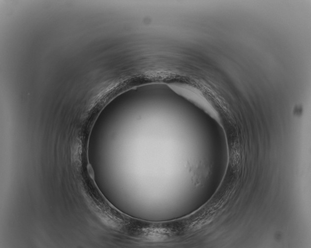 X0000095960448200801181449