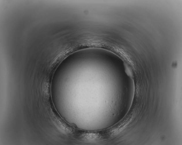 X0000095960449200801181449