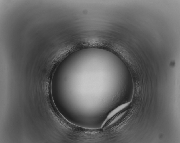 X0000095960450200801181449