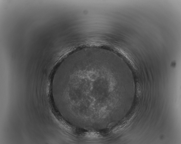 X0000095960451200801181449