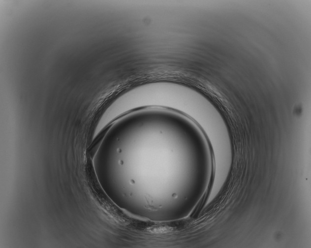 X0000095960452200801181449