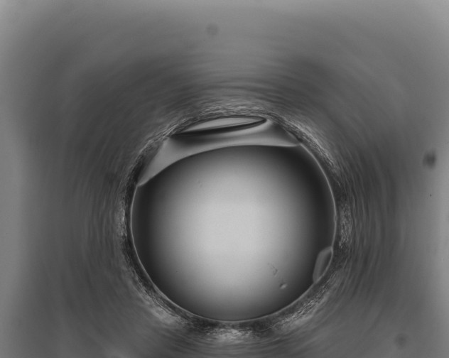 X0000095960453200801181449