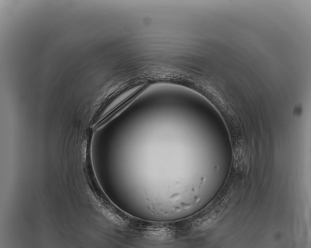 X0000095960454200801181449