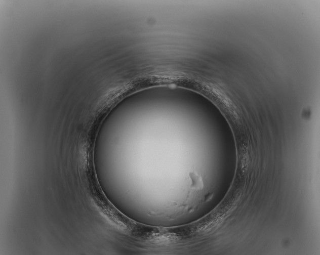 X0000095960455200801181449