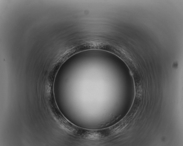 X0000095960456200801181449