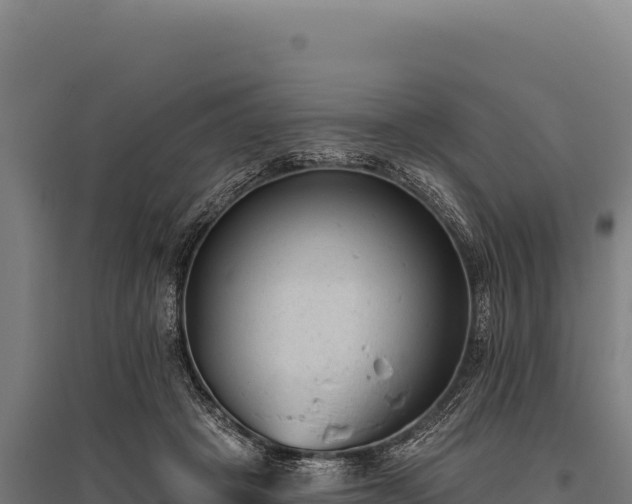 X0000095960457200801181449