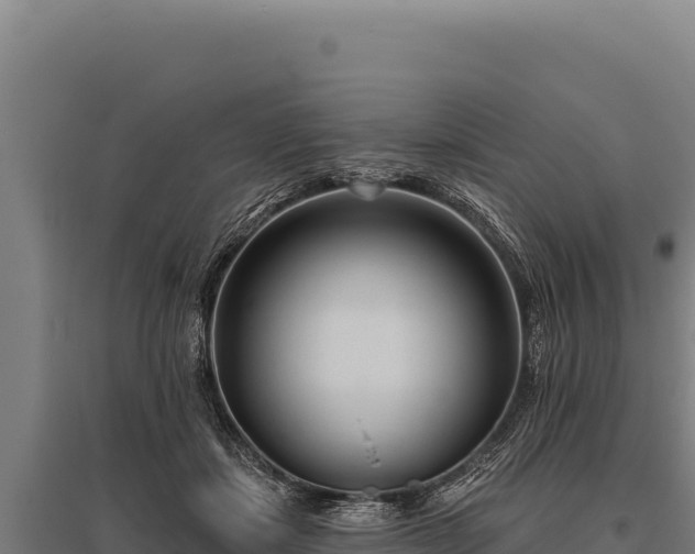 X0000095960459200801181449