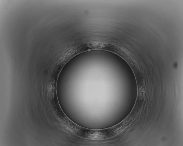 X0000095960460200801181449