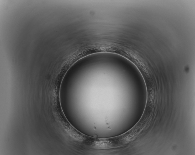 X0000095960461200801181449