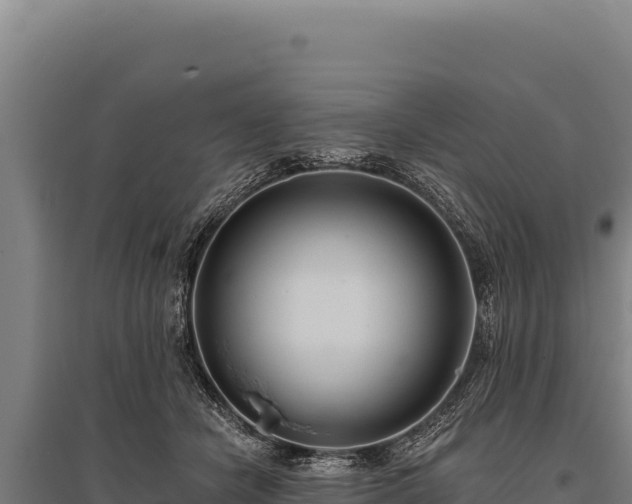 X0000095960462200801181449