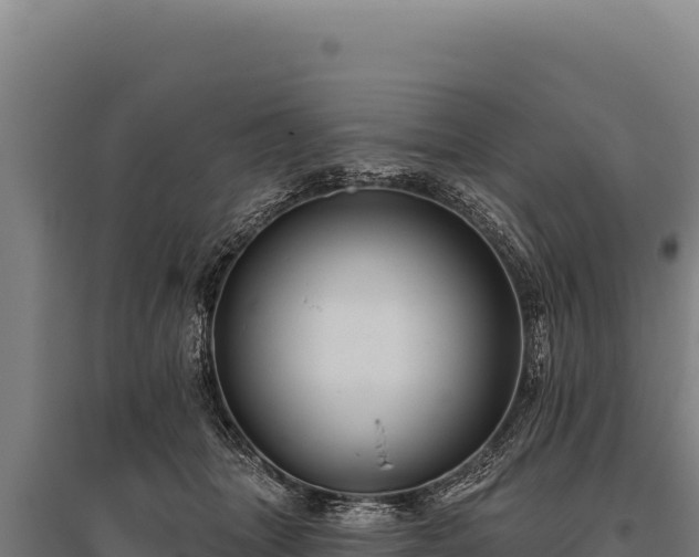 X0000095960463200801181449