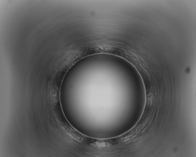 X0000095960464200801181449