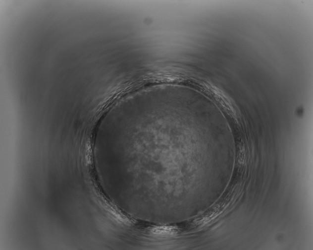 X0000095960465200801181449