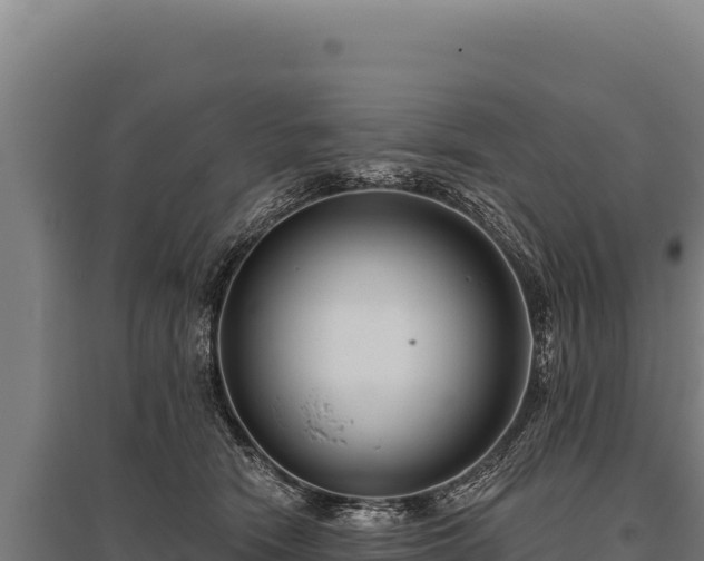 X0000095960466200801181449