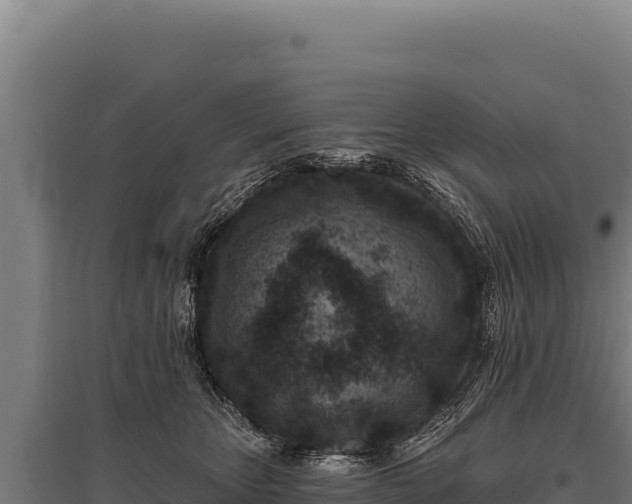 X0000095960467200801181449