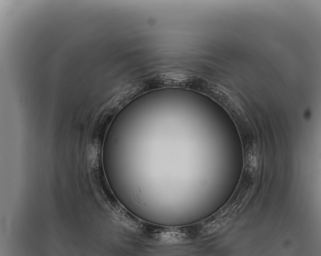 X0000095960468200801181449