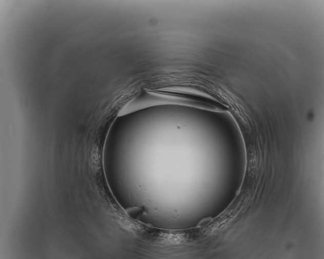 X0000095960469200801181449