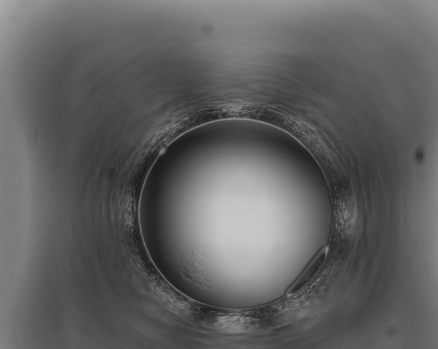 X0000095960470200801181449